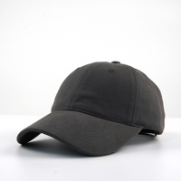 Casquette de baseball unisexe adulte printemps-été, 6 panneaux, réglable, en coton lavé, brossé, avec impression numérique et broderie