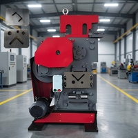 Machine de découpe et de poinçonnage mécanique multifonction TQ pour la construction (acier profilé, acier angulaire)