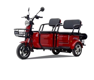 60V/800W dành cho người lớn Điện Trike 3 bánh xe điện ba bánh ba bánh cho người lớn điện ba bánh cho người lớn - Product Image 2