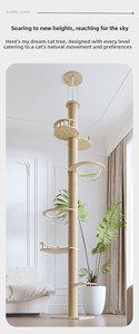 Özel Sınır Ötesi Tedarik Tongtianzhu 2 Kedi Tırmanma Çerçevesi Kalınlaştırılmış Tabandan Tavana Tasarım Ayarlanabilir Yükseklik 2.8m - Product Image 6