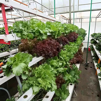 Système de culture hydroponique vertical d'intérieur multifonctionnel efficace Équipement de croissance des plantes avec pompe pour les industries agricoles