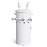 Transformateur de distribution immergé dans l'huile à réservoir cylindrique unique 13,8 kV 240 V/120 V 37,5 kVA 112 kVA 167 kVA 50/60 Hz