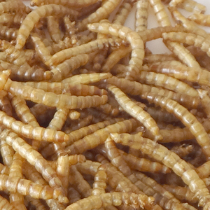 En çok satan sıcak satış toptan yüksek kalite yüksek beslenme yüksek Protein besleme sınıfı kurutulmuş yemek kurdu küvet küçük hayvanlar için - Product Image 6