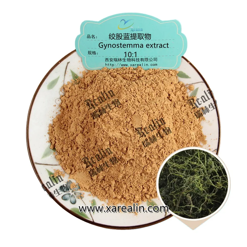 Fábrica Abastecimento Herbal Funcional Suplemento Alimentar Gynostemma Extract