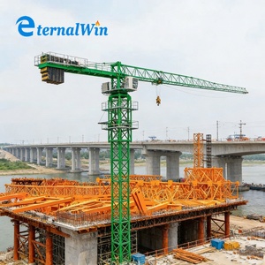 رافعة برجية صغيرة ذاتية التركيب QTZ10 بحمولة 1 طن وQTZ25 بحمولة 2 طن شائعة في البرازيل للبيع - Product Image 2