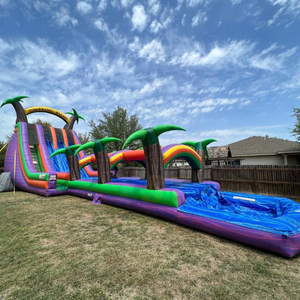 Scivolo d'Acqua Gonfiabile Gigante <span class=keywords><strong>per</strong></span> <span class=keywords><strong>Feste</strong></span> all'Aperto, Castello Gonfiabile con Scivolo Acquatico Tropicale Lungo <span class=keywords><strong>per</strong></span> Bambini e <span class=keywords><strong>Adulti</strong></span> - Product Image 2