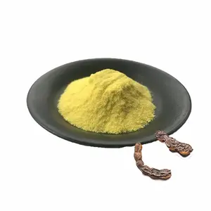 Nhà máy cung cấp Fructus sophorae chiết xuất kaempferol powder10 % ~ 98% kaempferol 10% 20% 50% 70% 90% 98% CAS 520