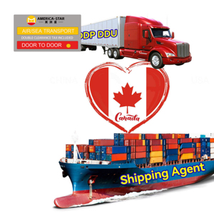 Spedizioniere Marittimo e Terrestre Servizi Logistici Porta a Porta DDP in Tutto il Mondo Spedizione LCL+Trasporto su Camion Economica dalla Cina da Shanghai al Brasile - Product Image 1