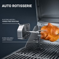 Cuisine extérieure avec barbecue à gaz en acier inoxydable, 5 brûleurs, brûleur latéral, évier, réfrigérateur, rôtissoire