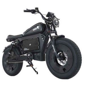 Bicicleta Eléctrica HCBK-SS10 de Aluminio con Llantas de 20 Pulgadas, Batería de Litio de 60AH, Alcance de 140KM, Motor Electrónico sin Escobillas, Unisex para Adultos - Product Image 3