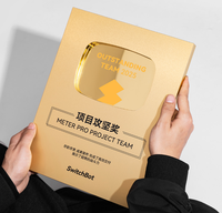 Trophée personnalisé, médaille, plaque – Le cadeau le plus cool avec bouton de lecture – Plaque argentée et dorée – Récompenses YouTube – Vente en gros