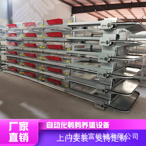 Shandong Changfu เครื่องจักรชั้นกรง H ประเภทเหล็กชุบสังกะสีอุปกรณ์ฟาร์มไก่อัตโนมัติ - Product Image 5