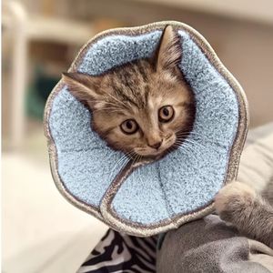 Collier <span class=keywords><strong>Elizabeth</strong></span> à dégagement rapide pour la récupération du chat Fibre de polyester solide EVA Plume de renfort de cou souple pour les soins postopératoires pour animaux de compagnie - Product Image 1