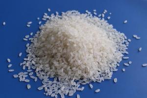 Arroz blanco japónica de grano medio natural textura suave estilo seco roto bajo disponible en envases de 1kg 5kg 25kg - Product Image 5