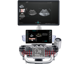 Échographe vétérinaire Mindray Vetus 80 sur chariot, échographie 3D/4D pour animaux de petite et grande taille - Product Image 2