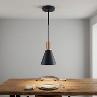 Suspension simple moderne nordique en fer, mini globe, pour salle à manger et îlot de cuisine