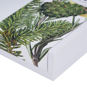 ขวดน้ำหอมน้ำมันหอมระเหยออกแบบกล่องแข็งกล่องของขวัญพร้อมซีลเอวบรรจุภัณฑ์แบบปรับแต่งได้ - Product Image 4