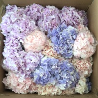 M-1046 Vente en gros, lot de 5 têtes de fleurs d'hortensias artificielles en soie, imperméables, écologiques, pour mariage, remise de diplôme, fête des pères