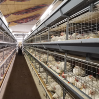 Équipement d'élevage automatique moderne pour poulets de chair Cage à poulets de chair de volaille de type H Batterie pour poulets de chair