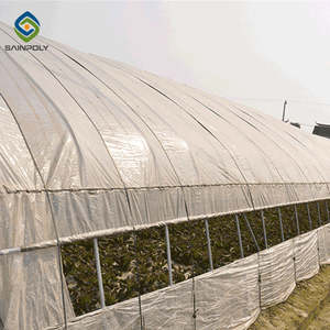 Pequeño <span class=keywords><strong>mini</strong></span> <span class=keywords><strong>invernadero</strong></span> de un solo tramo agrícola PE producto plástico túnel verde - Product Image 6