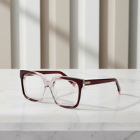 Montures de lunettes en acétate de qualité supérieure en gros, montures de lunettes bicolores, designs élégants, logo personnalisé, ODM/OEM disponible