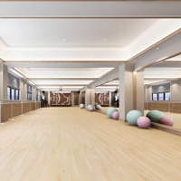 Miroir pleine longueur en verre trempé, style simple, incassable, pour studio de yoga, salle de sport, salle de danse