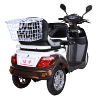 Trike électrique à 3 roues certifié Vista-L1 EEC-Scooter de mobilité de style moto pour adultes
