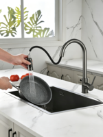 Robinet de cuisine moderne 3 en 1 avec douchette extractible, filtre purificateur d'eau, mitigeur en acier inoxydable 304 avec cartouche céramique