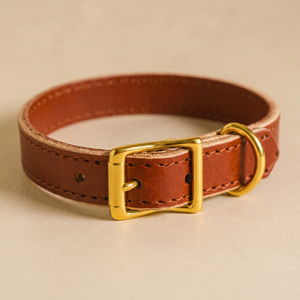 Collier pour chien en cuir de selle de qualité supérieure avec boucle en métal antique de Divine International - Product Image 1