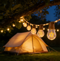 Guirlandes lumineuses solaires LED connectables pour festivals avec ampoules à motifs personnalisés, télécommande Bluetooth et Wi-Fi Tuya, extensibles
