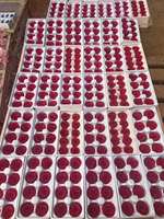 Tête de Rose Stabilisée Qualité B 6/8/12 Têtes, Vente en Gros, Décoration de Haute Qualité pour Cadeaux de Saint-Valentin et de Noël