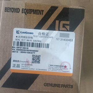 Kit de joints de commande principal Liugong SP214828 compatible pour pelle et chargeuse sur pneus - Product Image 3
