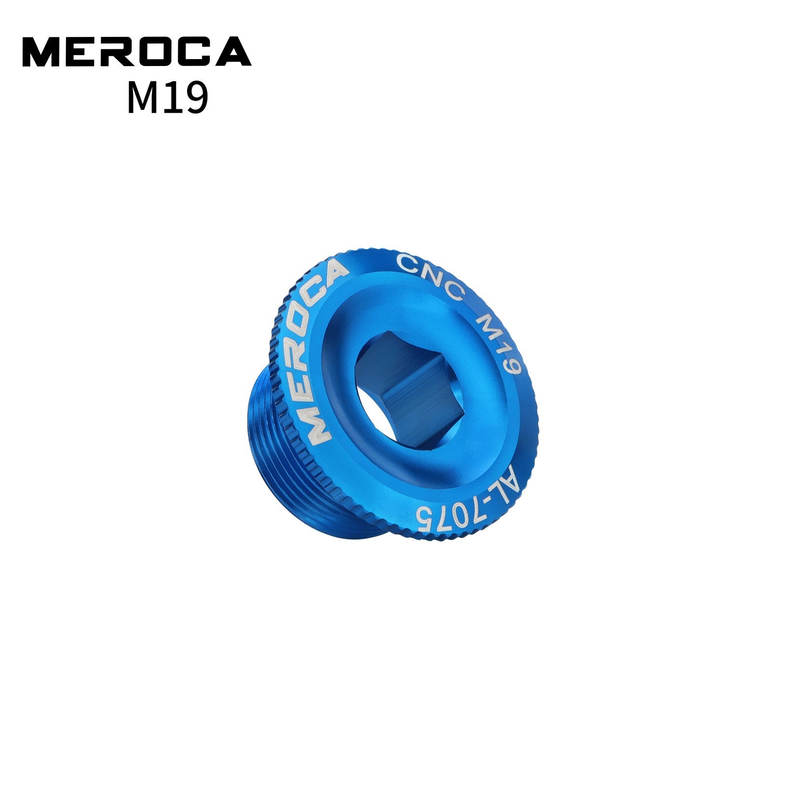 Bleu-M19