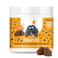 Probiotiques pour chiens OEM saveur citrouille à mâcher – Favorisent la santé intestinale, la digestion et l'immunité – Enzymes digestives