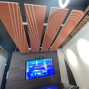 Acousound 2025 New pháp hiện đại soundprool Pet tấm vải Acoustic Trần chống cháy Acoustic nghệ thuật hội đồng quản trị Trần vách ngăn - Product Image 4