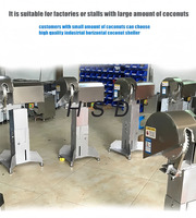 Machine à décortiquer la noix de coco à chaud, machine à éplucher la noix de coco sèche, machine à décortiquer les coques dures de noix de coco