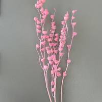 Großhandel für Blumenarrangements: Natürlich lang haltbare, konservierte Jahresringblumen für Heimdekoration und Feiertagsgeschenke