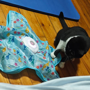 <b>Interactive</b> <b>Cat</b> <b>Toy</b>, Automatic Moving Feather <b>Cat</b> <b>Toy</b> for Indoor <b>Cats</b>, Star-Shaped Electronic <b>Cat</b> Mat, Self-Play Kitten <b>Toy</b> for - Product Image 1