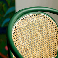 Chaise de salle à manger en bois massif avec revêtement souple, fauteuil vert TON33, chaise en rotin pour la maison, chaise de designer avec dossier