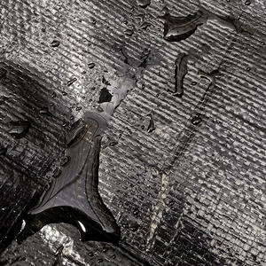 Fabricante Lona de polietileno impermeable Tiendas de campaña al aire libre Lona de polietileno Cubierta de camión Lona de PE - Product Image 4