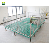 Nouveau enclos de nurserie pour porcelets et cage de sevrage en acier galvanisé à chaud - pour petites/moyennes exploitations