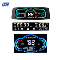 Layar LCD Monokrom Grafik Segmen Kluster Instrumen Speedometer Mobil Motor Bentuk Kustom VA STN TN HTN