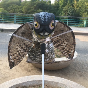 Meilleure Vente : Effaroucheur d'Oiseaux en Plastique 3D, Fausse Guêpe de <span class=keywords><strong>Chouette</strong></span> pour Jardin, Cour et Décoration de Maison - Product Image 3