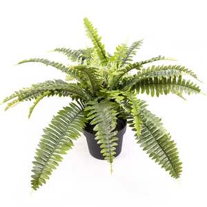 Faux fougère de Boston Offre Spéciale en pot pour la maison ou l'extérieur <span class=keywords><strong>plante</strong></span> artificielle pour le jardin ou le salon décoration tissu matériel - Product Image 3