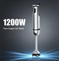 Mixeur Plongeant Électrique Multifonctionnel de Haute Qualité en Acier Inoxydable avec Corps Détachable et Kit d'Accessoires Complet, 5+ Vitesses, Anti-Fuite