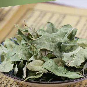 Chinesische Natürliche Getrocknete Grüne Kräuterblätter von Apocynum Venetum für Tee - Product Image 2