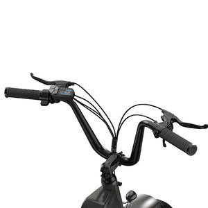 Vélo <span class=keywords><strong>cargo</strong></span> électrique EU/UK à longue portée, <span class=keywords><strong>moteur</strong></span> central 250W, vélo électrique familial 20 pouces pour le transport de courses lourdes et les trajets urbains - Product Image 4