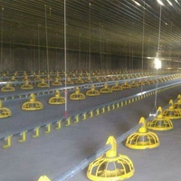 Équipement avicole pour élevage de poulets en couches, Zambie, Lusaka, Émirats arabes unis, à vendre