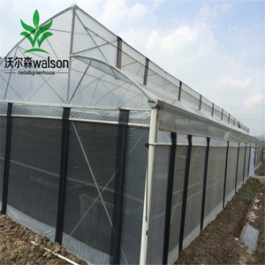 Los fabricantes de invernaderos venden túnel invernadero con hidropónico - Product Image 5