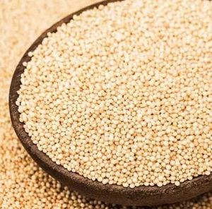 Fabricant d'approvisionnement 100% farine d'amarante biologique à haute teneur en protéines rehausseur de nutrition de qualité alimentaire - Product Image 3